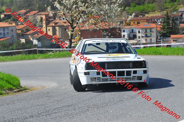 DSC_9551.JPG